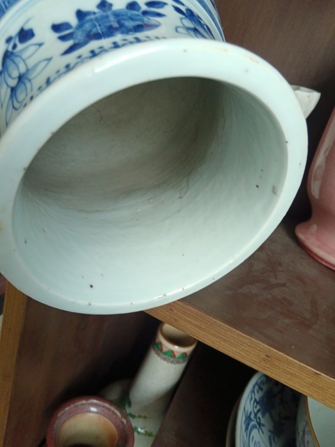 古玩陶瓷青花花卉紋獅耳琵琶尊真品鑒賞圖