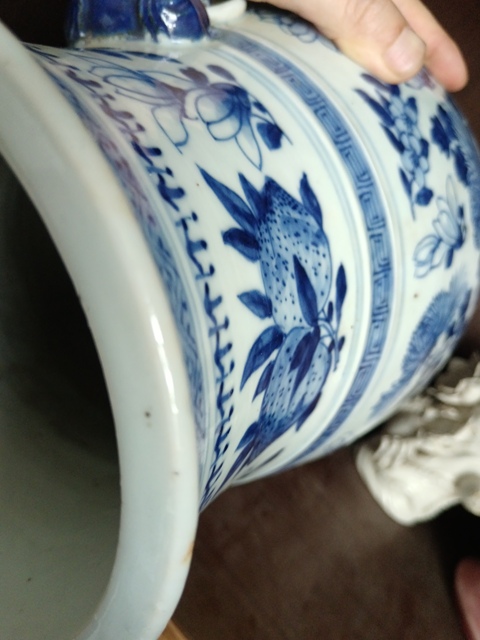 古玩陶瓷青花花卉紋獅耳琵琶尊真品鑒賞圖