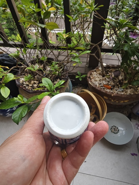 古玩陶瓷康熙青花花卉紋手把瓶拍賣,當前價格388元