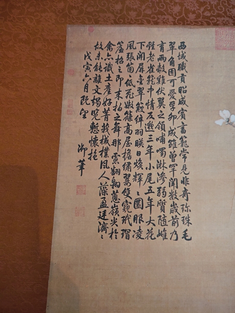 古玩字畫(huà)朗世寧款孔雀立軸真品鑒賞圖