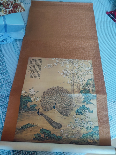 古玩字畫(huà)朗世寧款孔雀立軸真品鑒賞圖