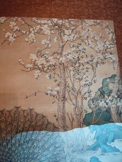古玩字畫(huà)朗世寧款孔雀立軸真品鑒賞圖