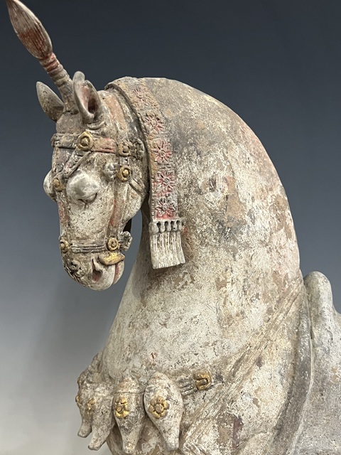 古玩陶瓷北魏·戰馬真品鑒賞圖
