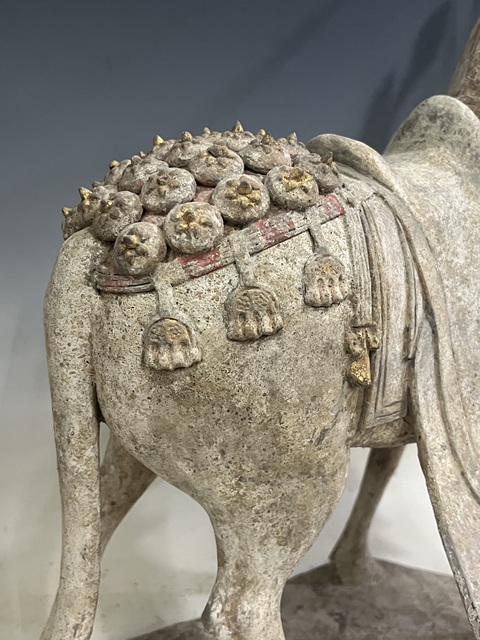 古玩陶瓷北魏·戰馬真品鑒賞圖