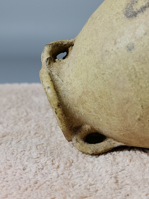 古玩陶瓷雙系罐真品鑒賞圖