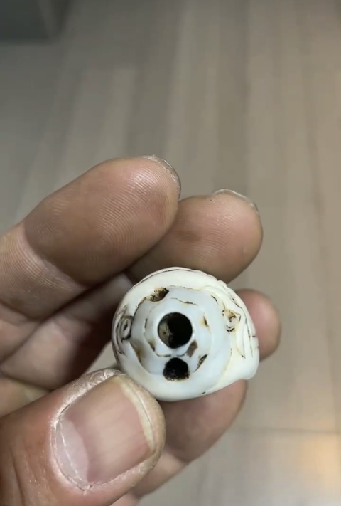 古玩銅器法螺真品鑒賞圖