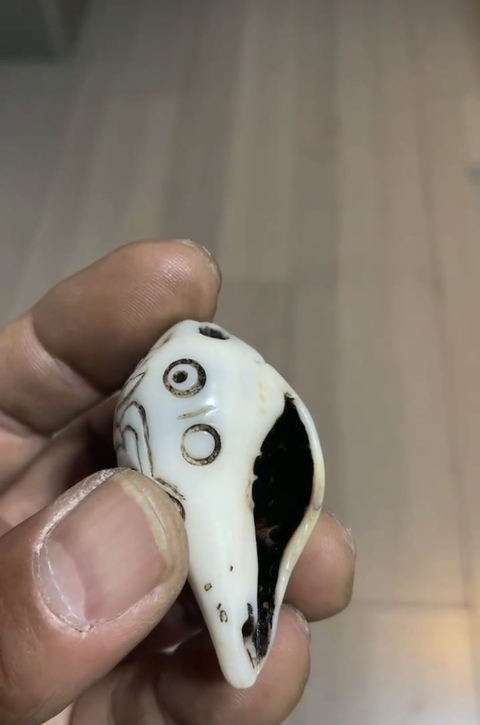 古玩銅器法螺真品鑒賞圖