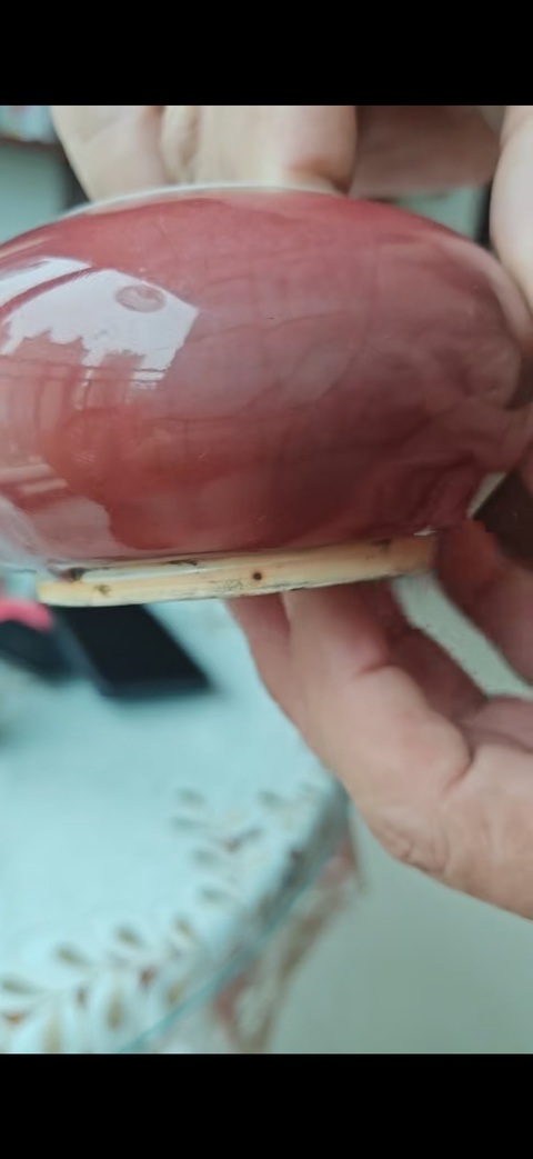 古玩陶瓷郎紅釉水盂真品鑒賞圖