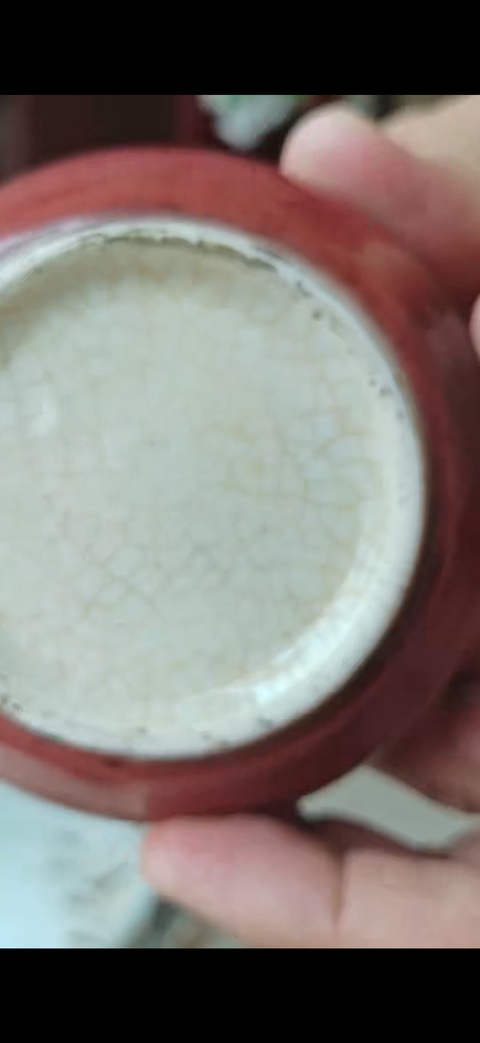 古玩陶瓷郎紅釉水盂真品鑒賞圖
