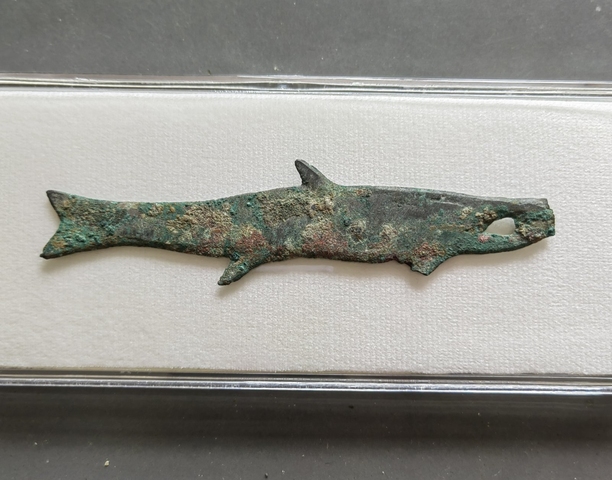 古玩錢幣魚幣真品鑒賞圖