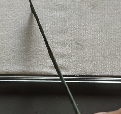 古玩錢幣魚幣真品鑒賞圖