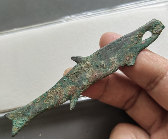 古玩錢幣魚幣真品鑒賞圖