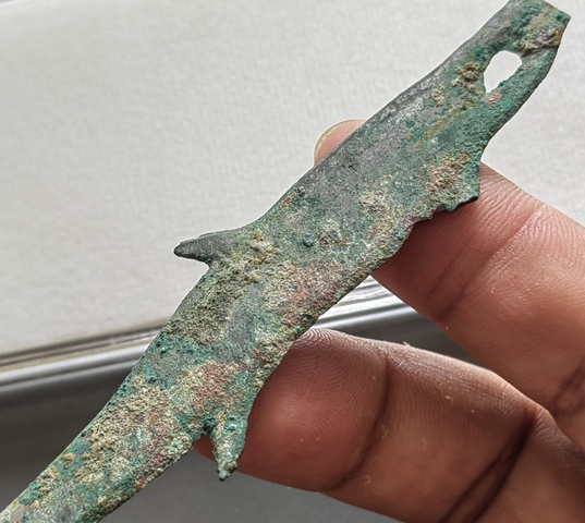 古玩錢幣魚幣真品鑒賞圖