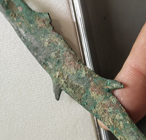 古玩錢幣魚幣真品鑒賞圖