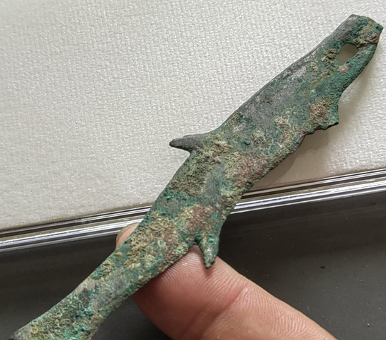 古玩錢幣魚幣真品鑒賞圖