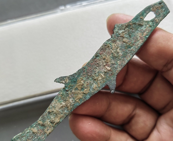 古玩錢幣魚幣真品鑒賞圖