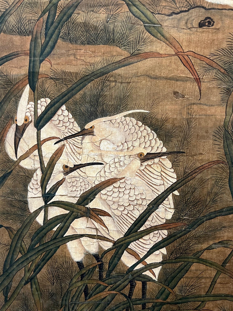 古玩字畫呂紀(jì)款花鳥真品鑒賞圖