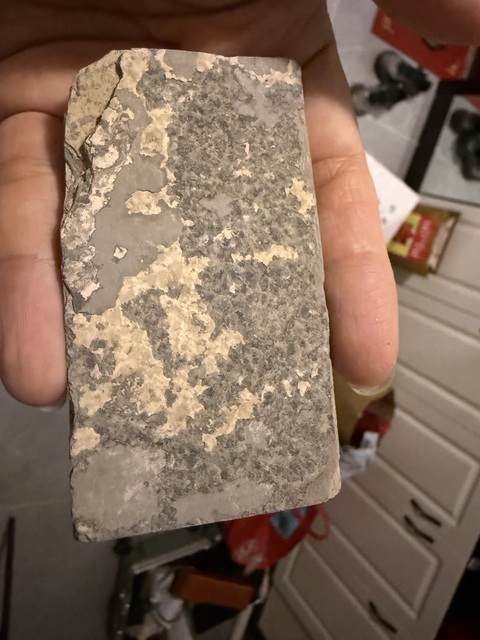 古玩雜項魚化石真品鑒賞圖