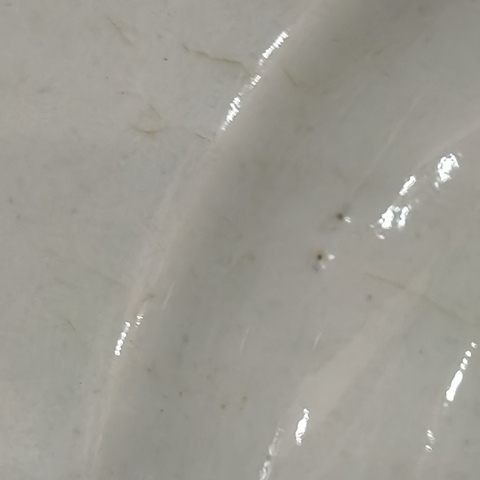 古玩陶瓷青花折腰碗真品鑒賞圖