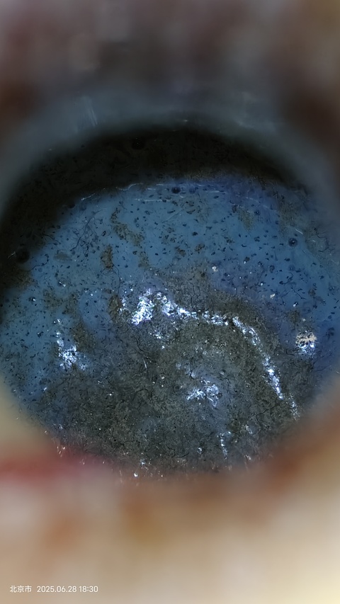 古玩陶瓷窯變釉瓶真品鑒賞圖