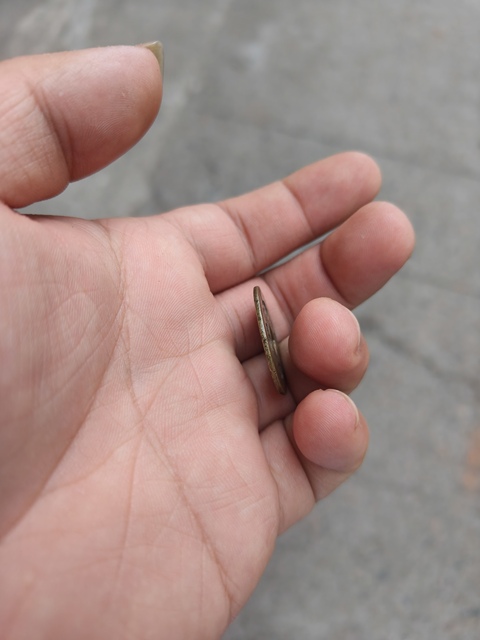 古玩錢幣康熙合背錢私鑄真品鑒賞圖