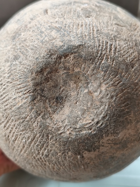 古玩雜項尊真品鑒賞圖
