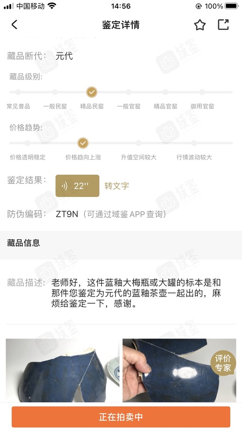 古玩陶瓷霽藍釉執壺真品鑒賞圖