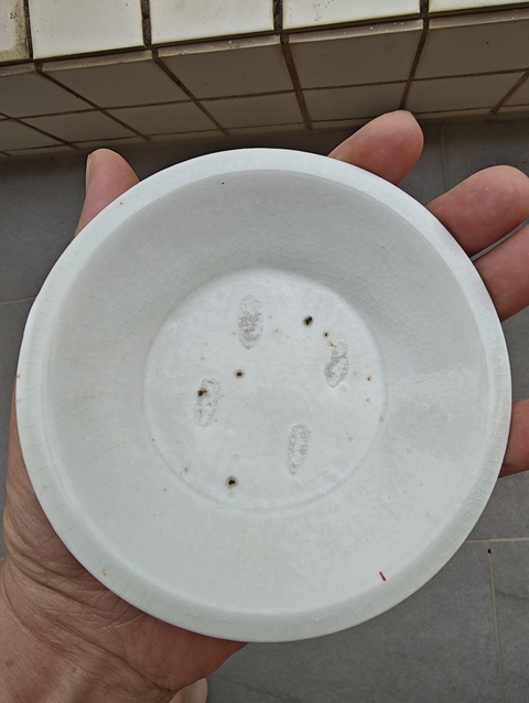 古玩陶瓷碟真品鑒賞圖