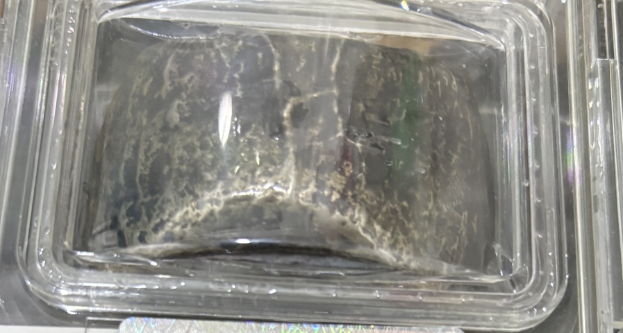 古玩錢幣祥珍私鑄錠真品鑒賞圖