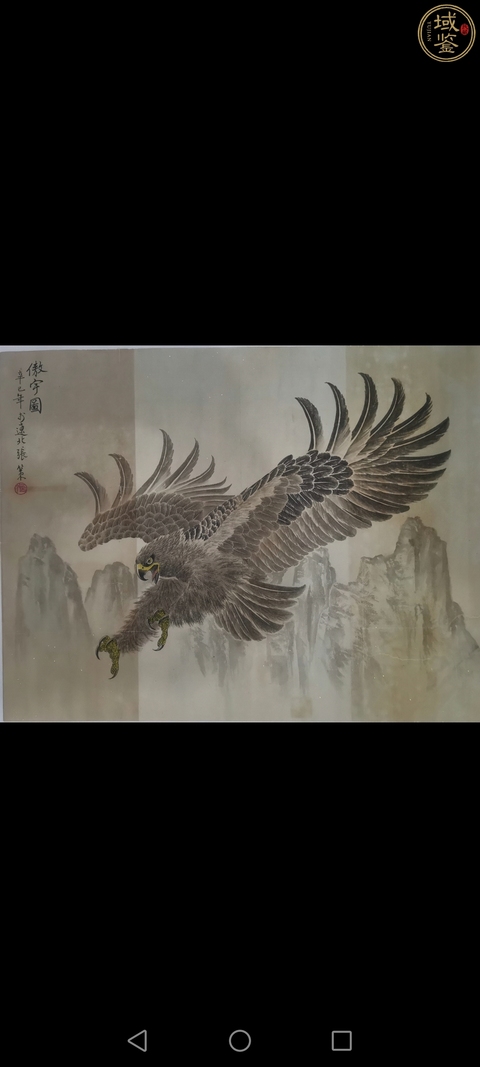 古玩字畫張策雄鷹圖真品鑒賞圖