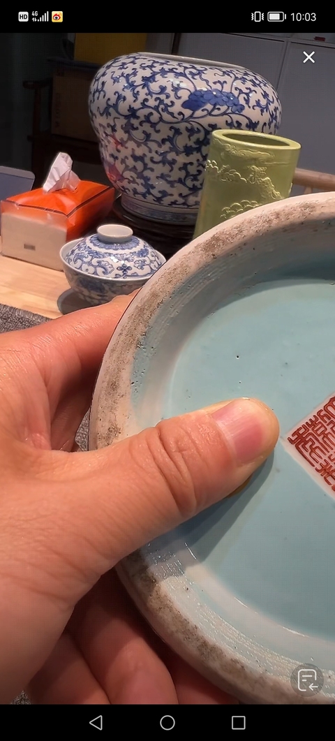 古玩陶瓷粉彩飛鳴宿食紋瓶真品鑒賞圖