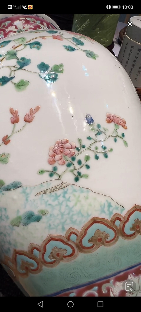 古玩陶瓷粉彩飛鳴宿食紋瓶真品鑒賞圖