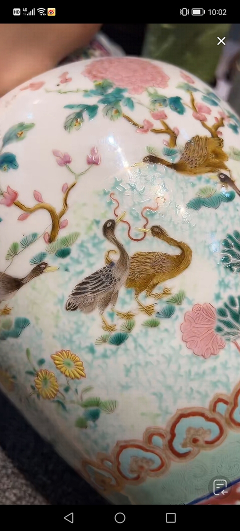古玩陶瓷粉彩飛鳴宿食紋瓶真品鑒賞圖