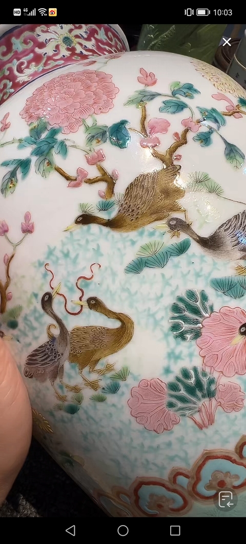 古玩陶瓷粉彩飛鳴宿食紋瓶真品鑒賞圖