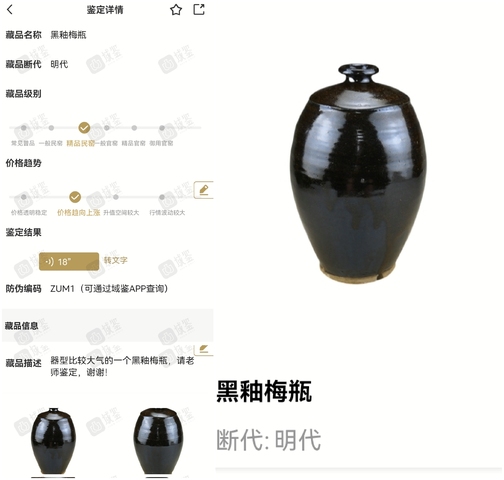 古玩陶瓷清·褐釉梅瓶真品鑒賞圖