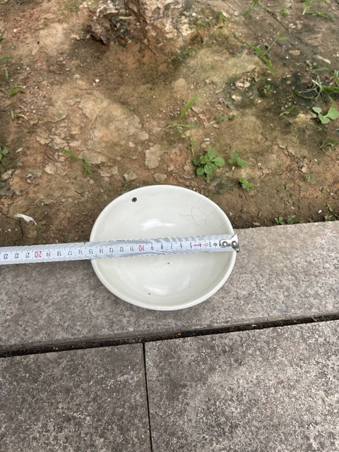 古玩陶瓷宋代湖田窯高足碗真品鑒賞圖