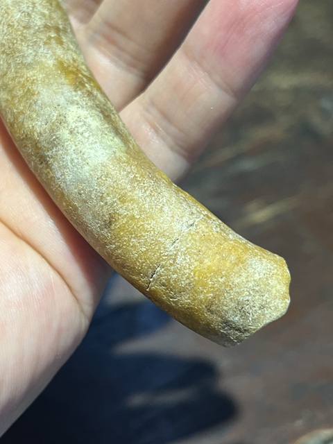 古玩玉器仿古玉件真品鑒賞圖