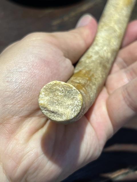 古玩玉器仿古玉件真品鑒賞圖