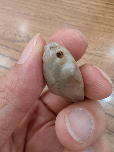 古玩玉器玉蟬真品鑒賞圖