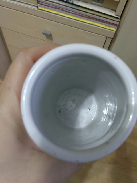 古玩陶瓷粉彩太師少保筆筒真品鑒賞圖