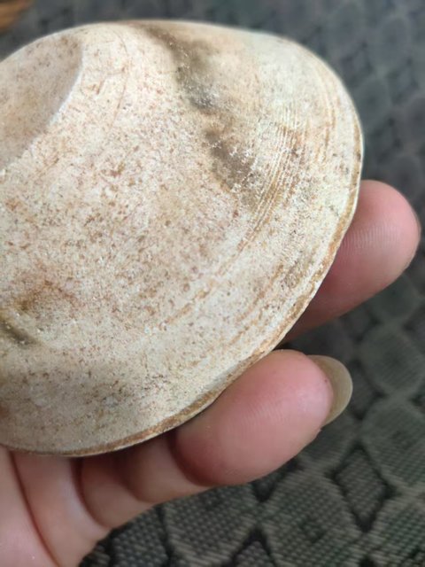 古玩陶瓷油燈真品鑒賞圖