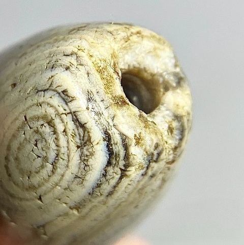 古玩雜項珠真品鑒賞圖