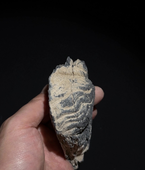 古玩雜項像真品鑒賞圖