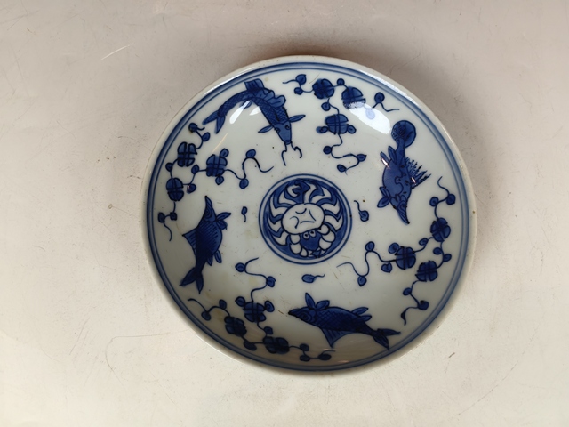 古玩陶瓷明晚金玉滿堂魚藻紋青花盤真品鑒賞圖
