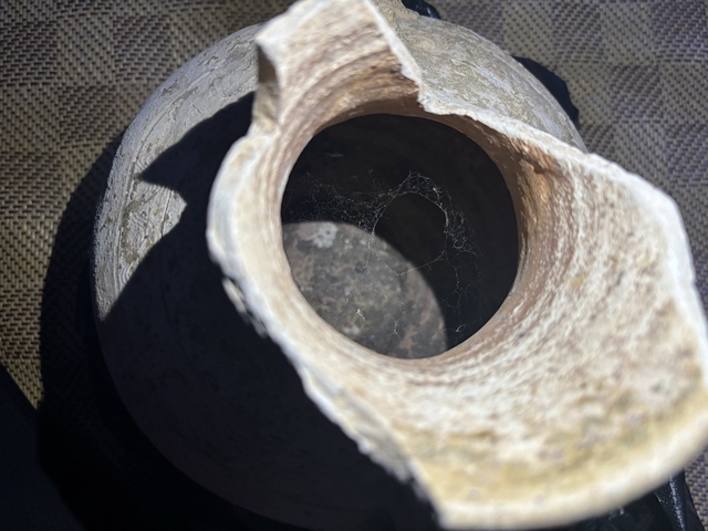 古玩陶瓷釉陶雙耳壺真品鑒賞圖