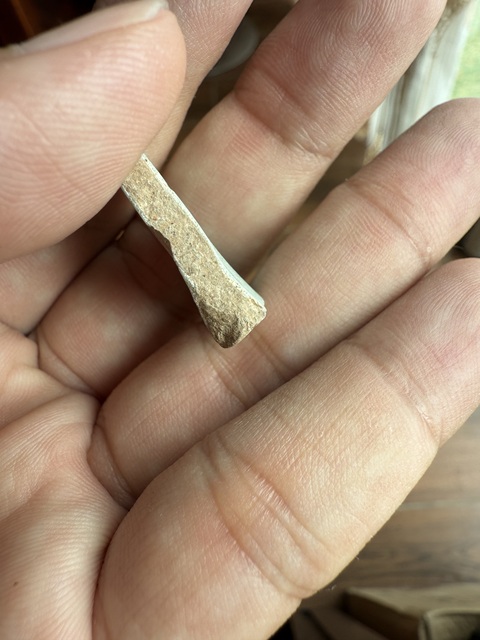 古玩陶瓷汝窯標(biāo)本真品鑒賞圖
