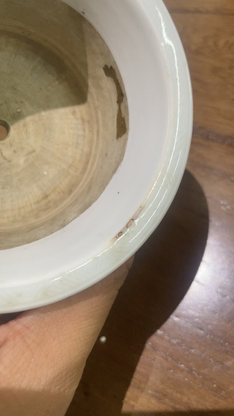 古玩陶瓷現代仿清白釉菖蒲盆真品鑒賞圖