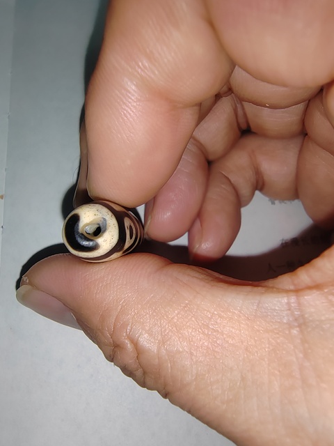古玩玉器老料器天珠拍賣,當前價格300元