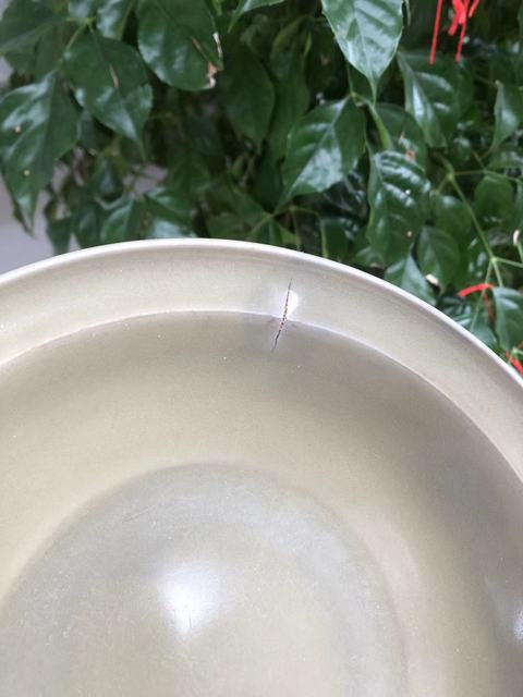 古玩陶瓷龍泉青瓷折沿盤真品鑒賞圖