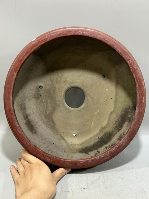 古玩陶瓷紅釉花盆真品鑒賞圖